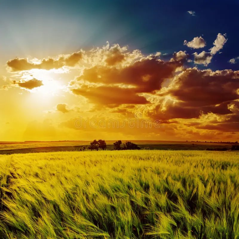 NaturesFotos's tweet image. Good Morning 

Happy Sunday 

#FunDay 

₍ᐢ๑•ᴗ•๑ᐢ₎ﾉﾞ☕ᵍᵐ