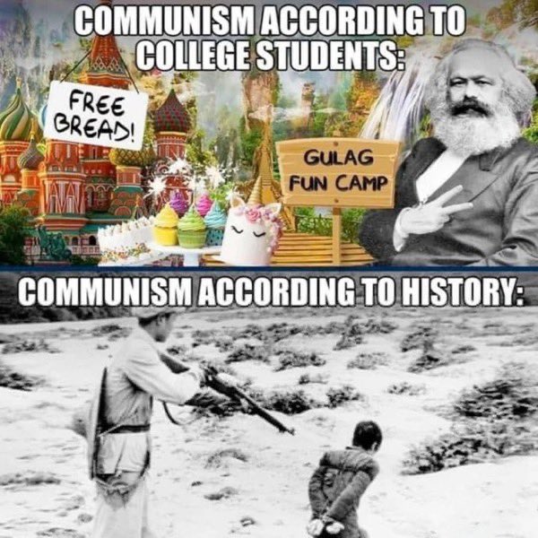 Noc-Nocturnal tweet media