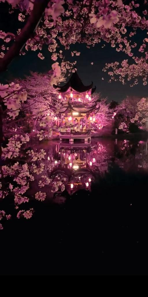 Paradise of Nature tweet media