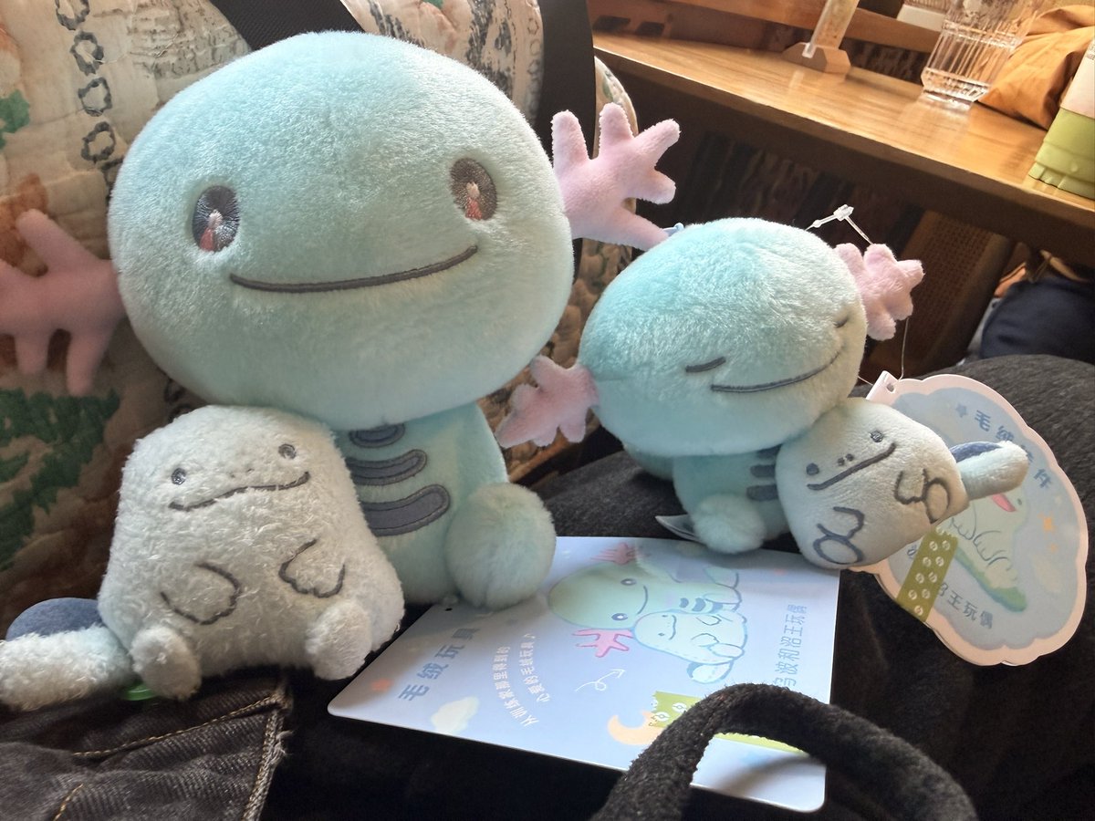 萘内个梓嘞 tweet media