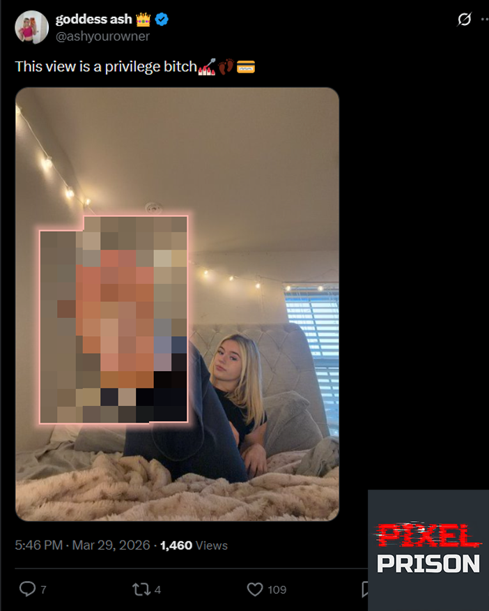 PixelPrisonApp's tweet photo. @ashyourowner In that case, let's hide this view 🤔 https://t.co/MLZrAOIIxk