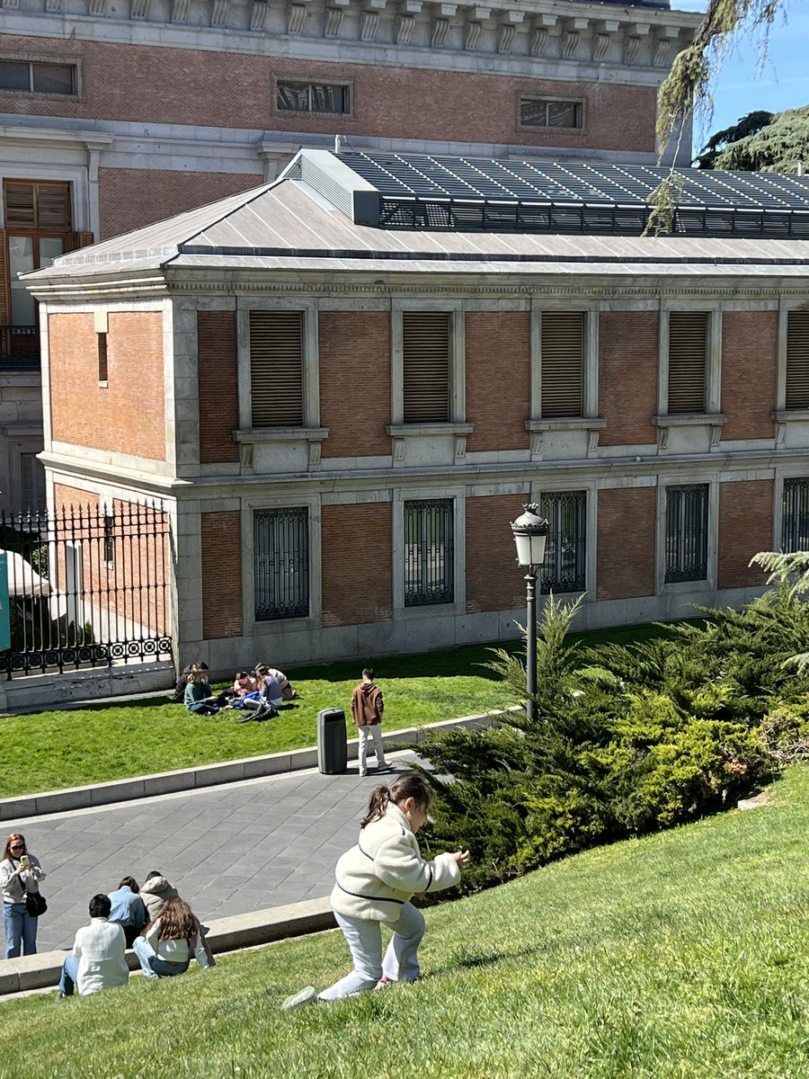 Sule Demirtas tweet media