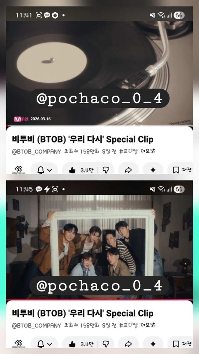 햇냥이광🐱(냥냥이광) tweet media