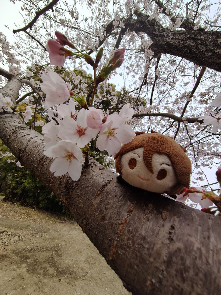 もにょ tweet media