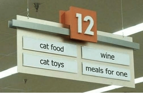 Freundchen tweet media