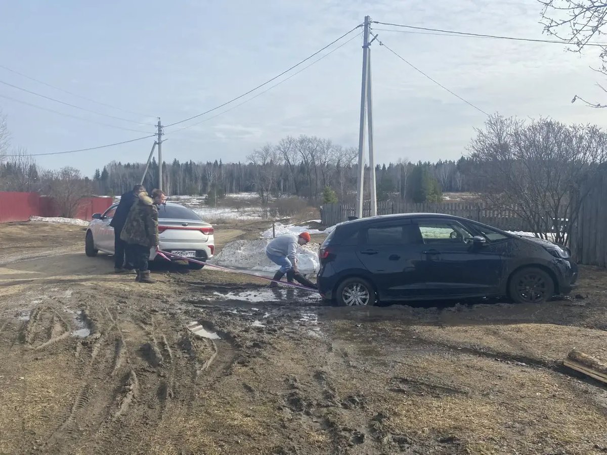 Дима и кореша по аниме🫰 tweet media