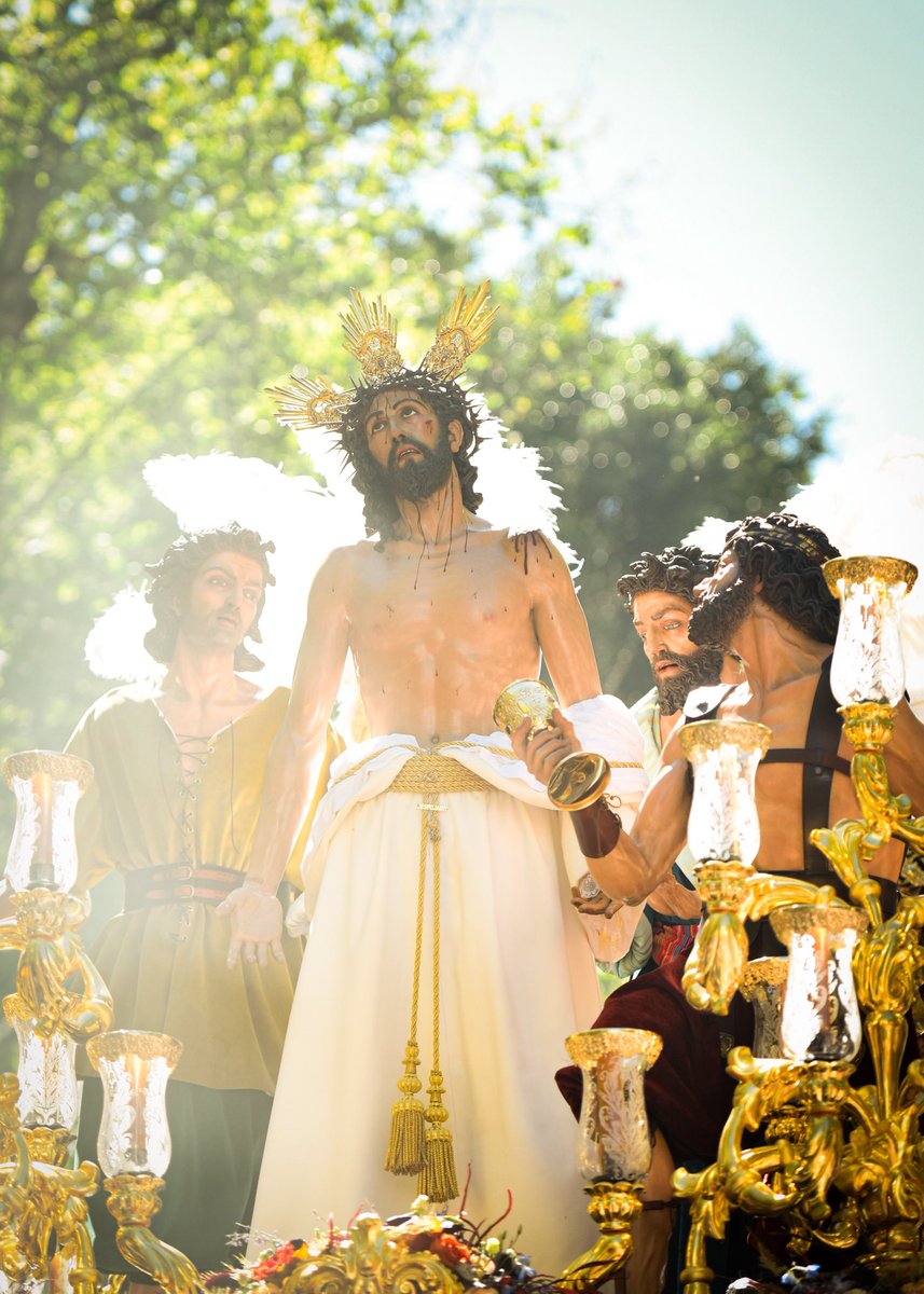 Pedro Jesús tweet media