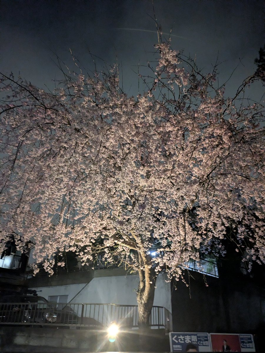 あじじ tweet media