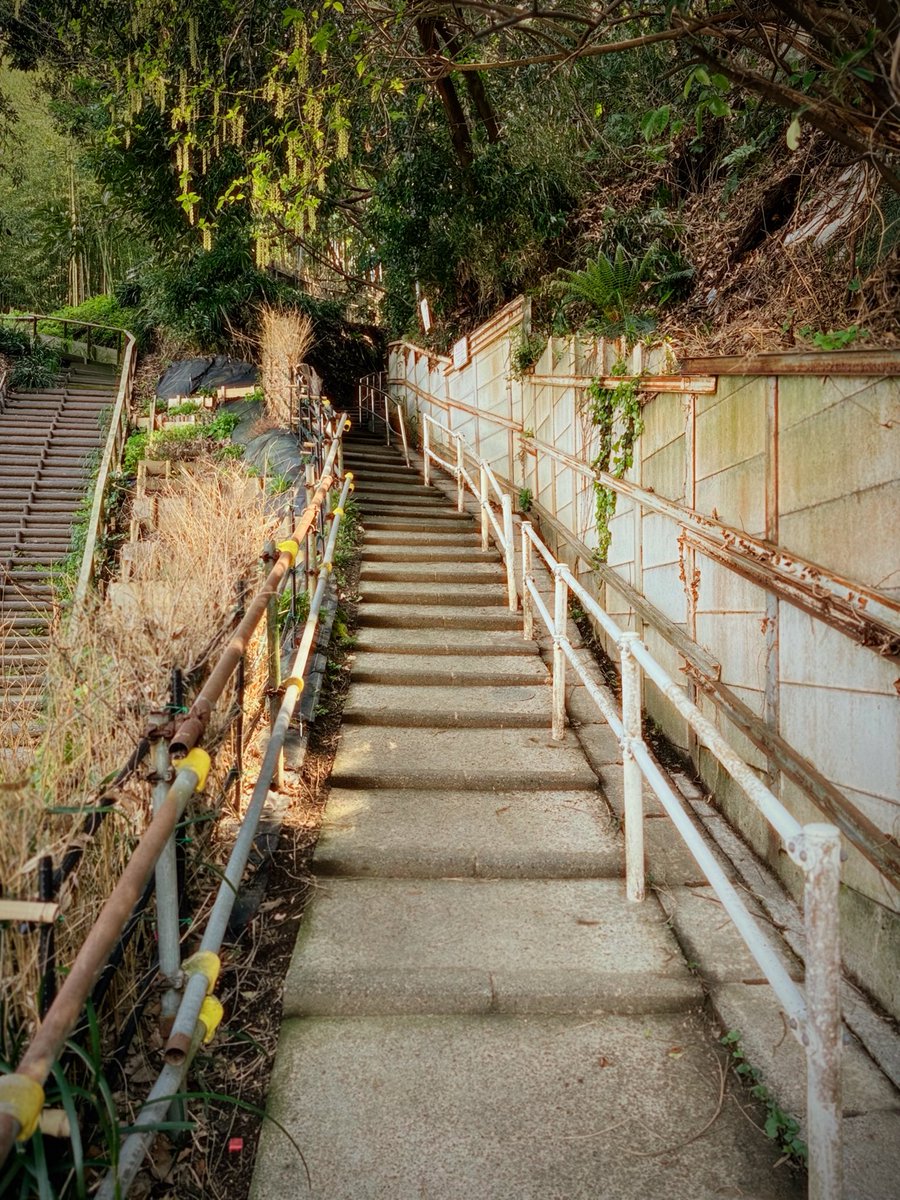 やんぴ tweet media