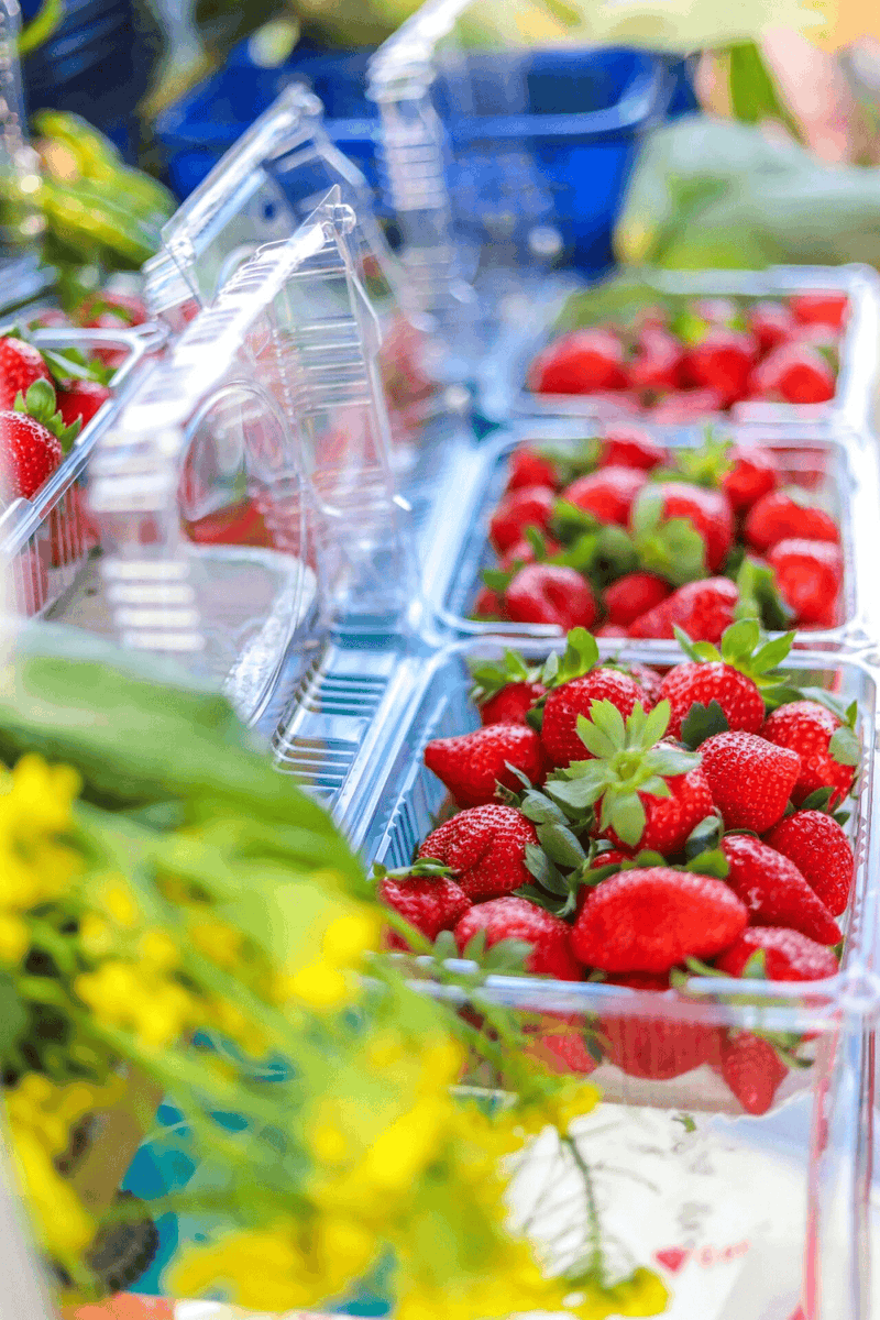 r manuel tweet media