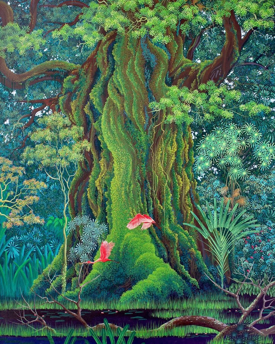 Evan Applegate tweet media