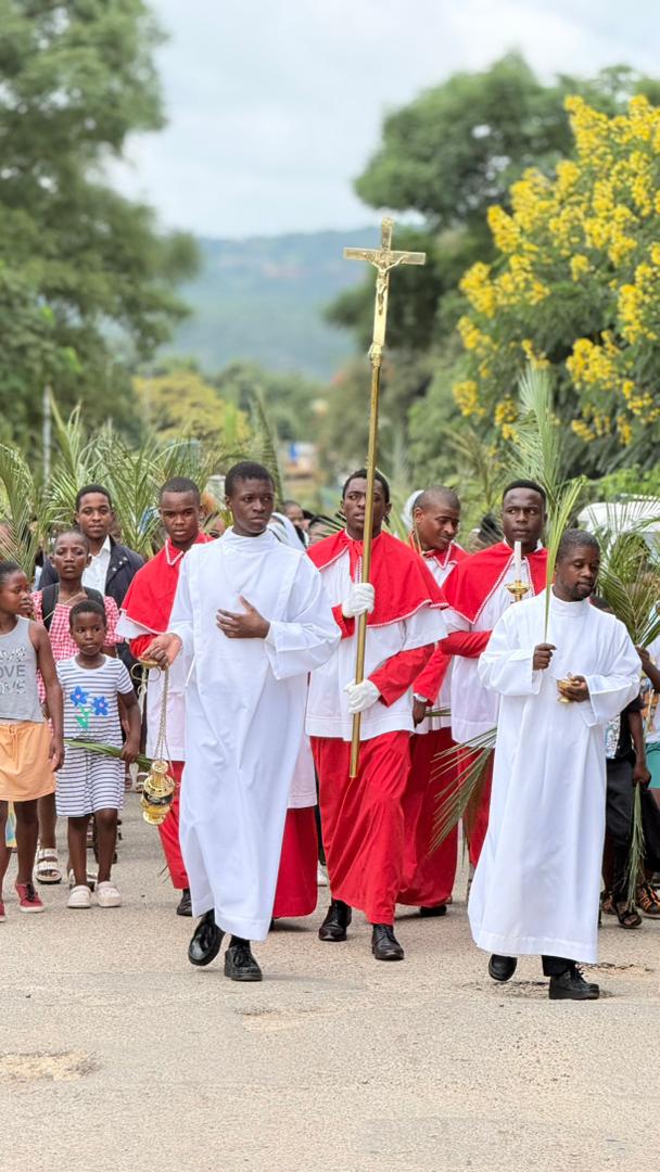 Bp Jose Luis IMC tweet media