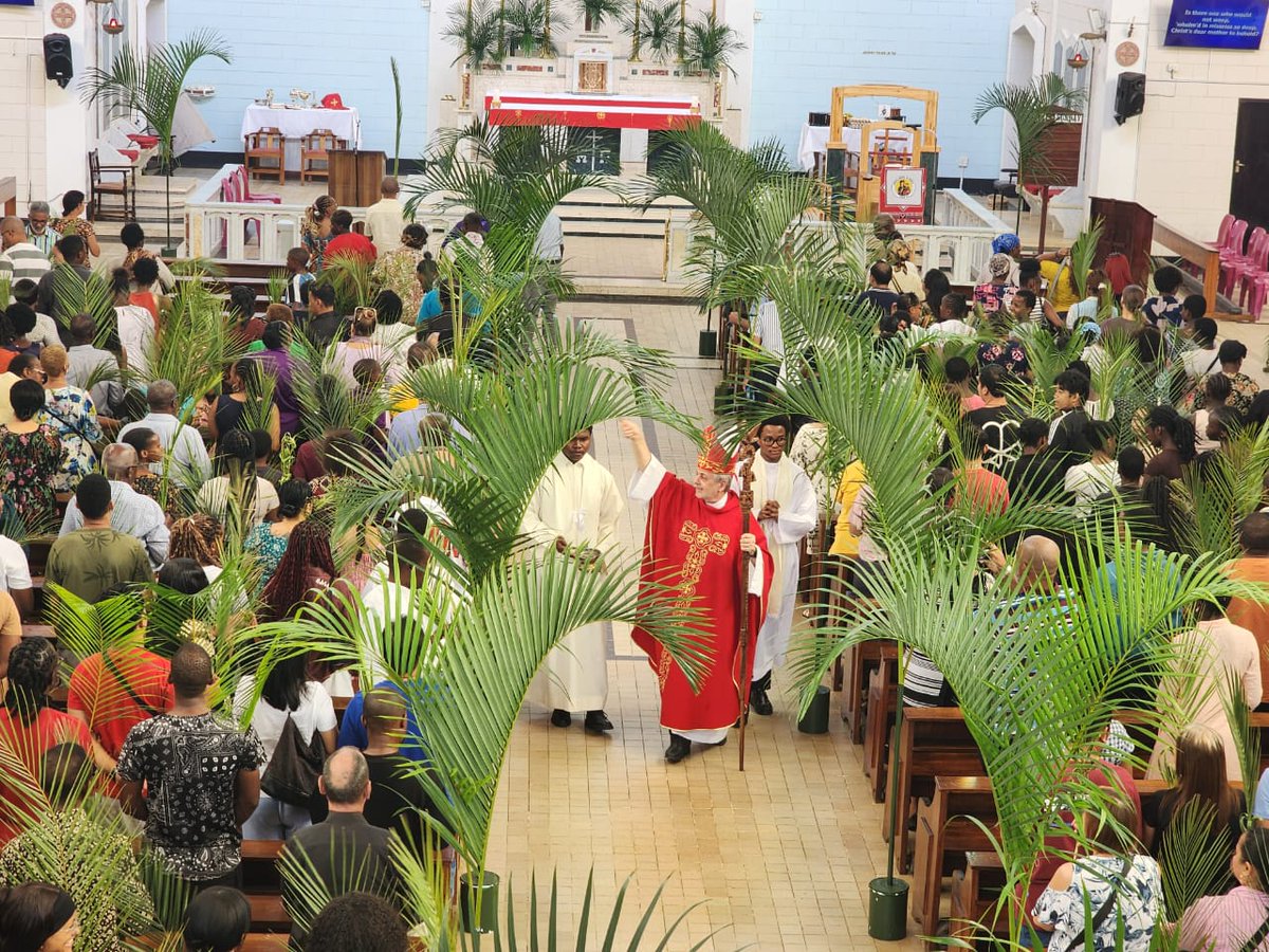 Bp Jose Luis IMC tweet media