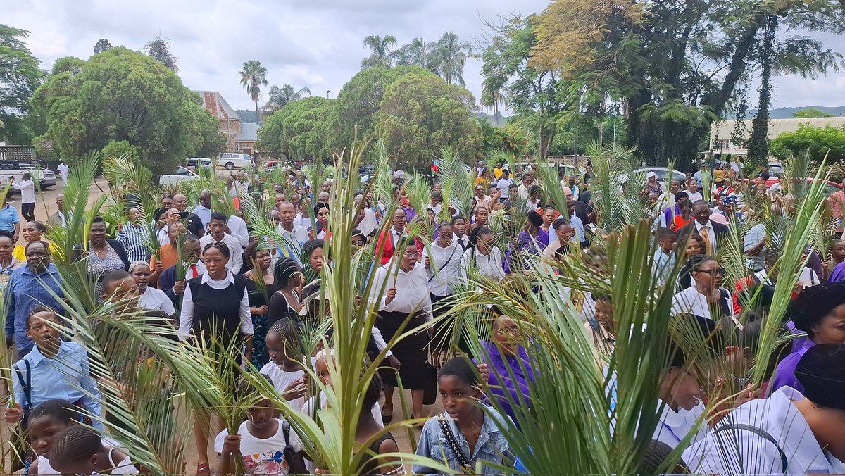 Bp Jose Luis IMC tweet media