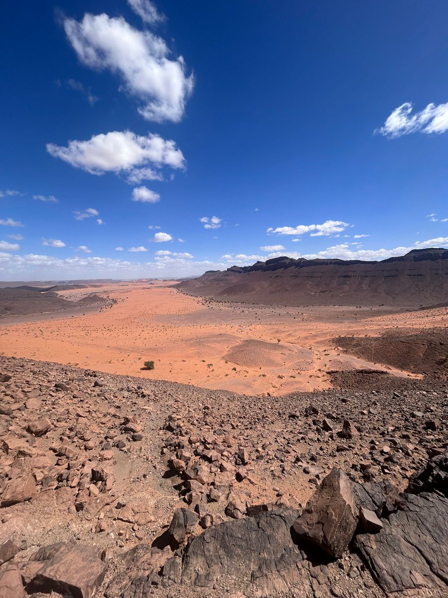 Rallye Du Maroc tweet media