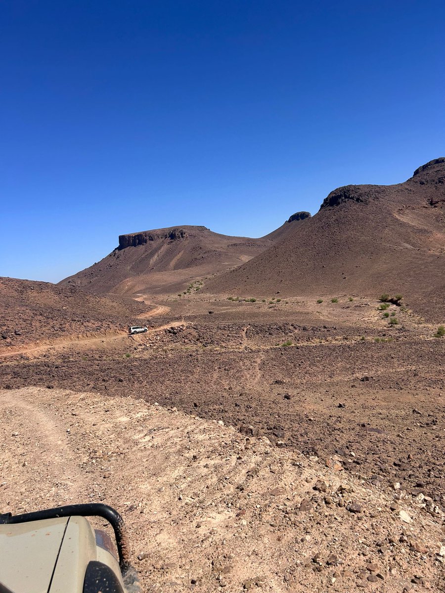 Rallye Du Maroc tweet media