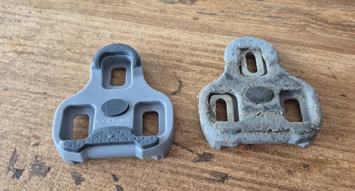 Celeborn tweet media