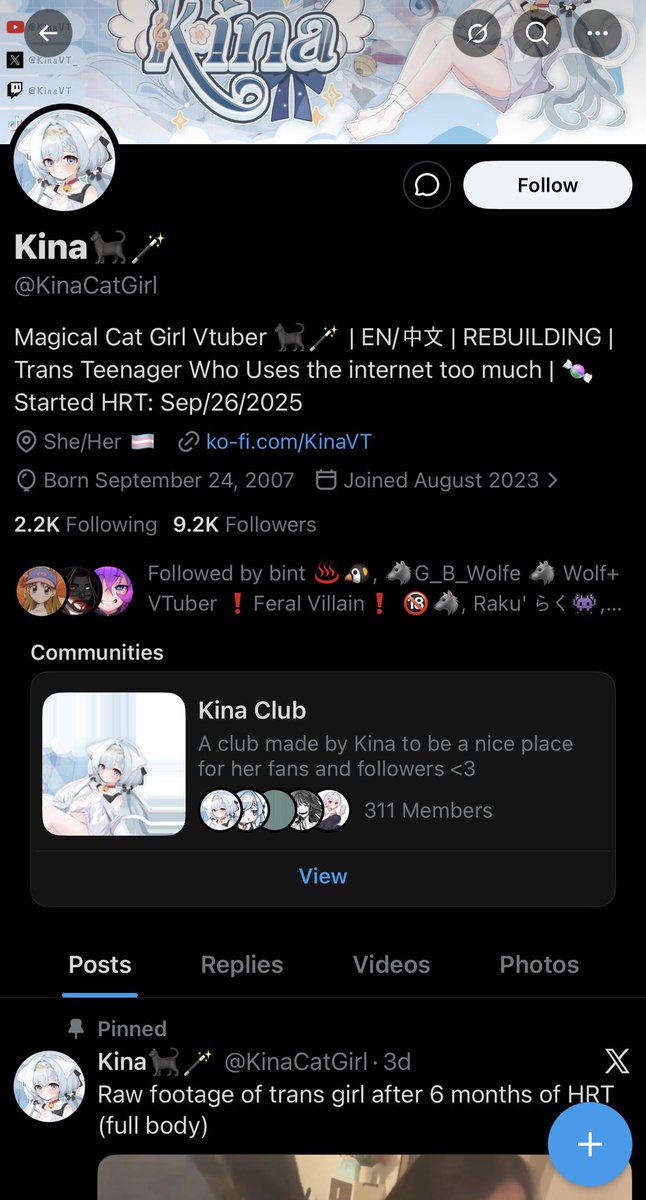 VTBlacklist tweet media