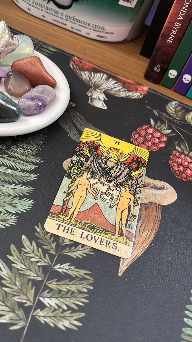 ⟡ 𝔯 𝔞 𝔣 𝔰 ⟡ tweet media