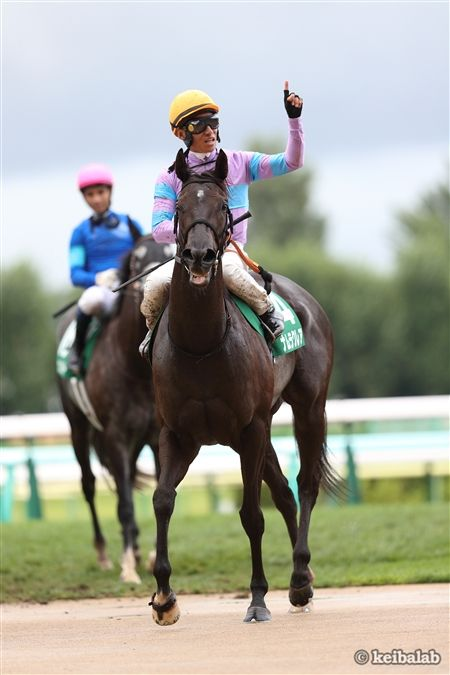 競馬ラボ tweet media