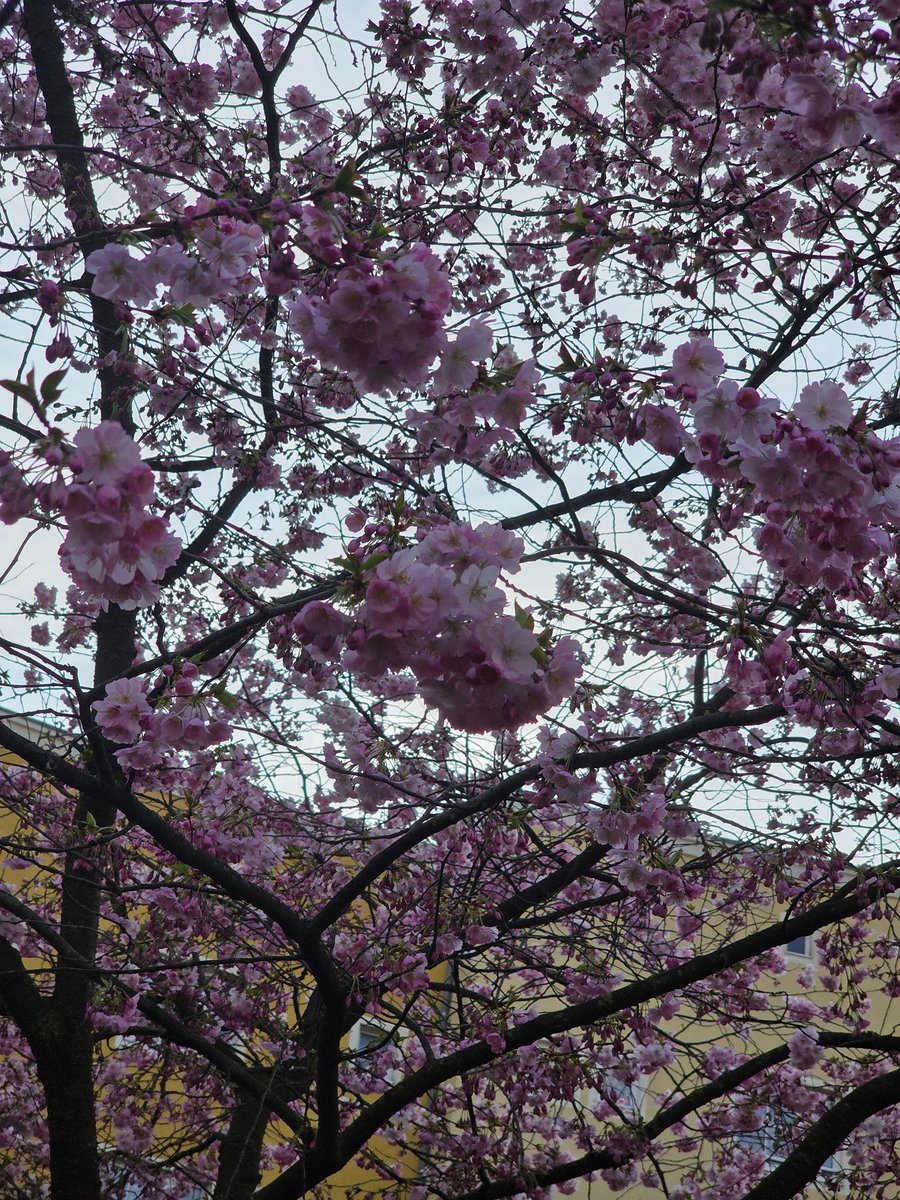 Theofania Mylonas tweet media