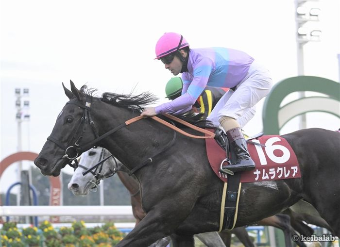 競馬ラボ tweet media