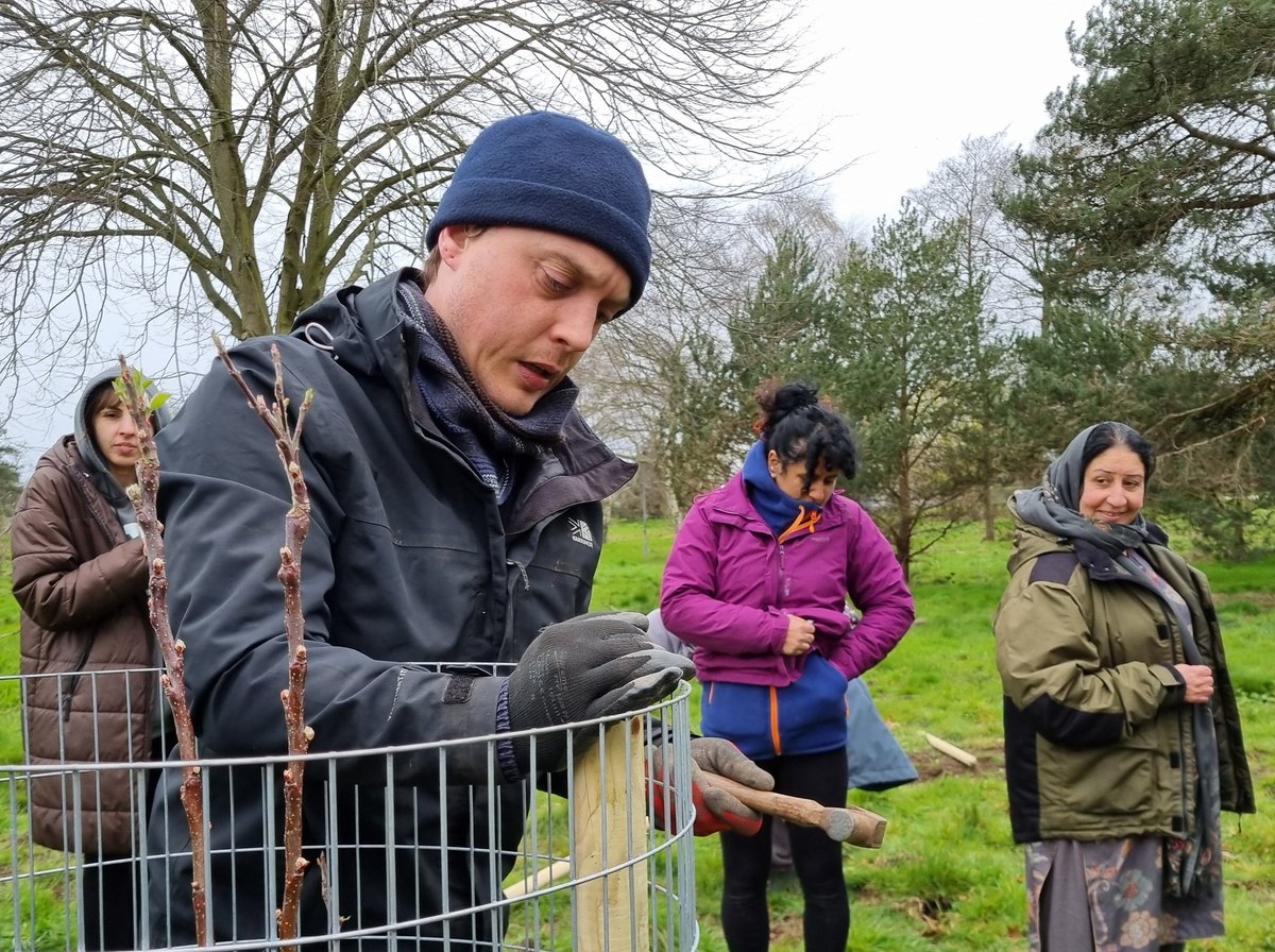 fruitnutvillage's tweet image. Rain didn't stop play!
We planted our 10 #FruitTrees and #Walnuts with @FriendsOfStechfordPark. And a big thank you for the fantastic catering! #HodgeHill