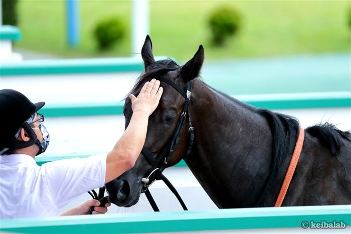 競馬ラボ tweet media