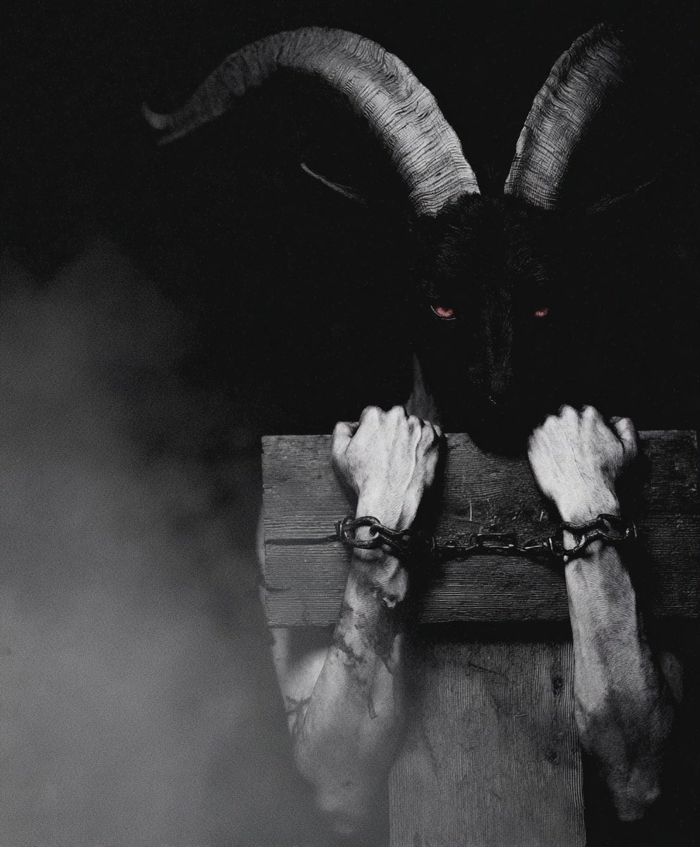 ALT3R4TI0N's tweet photo. https://t.co/I5XgYFaRD0