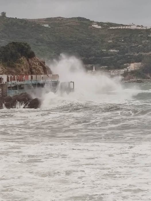 LailaRamadan tweet media