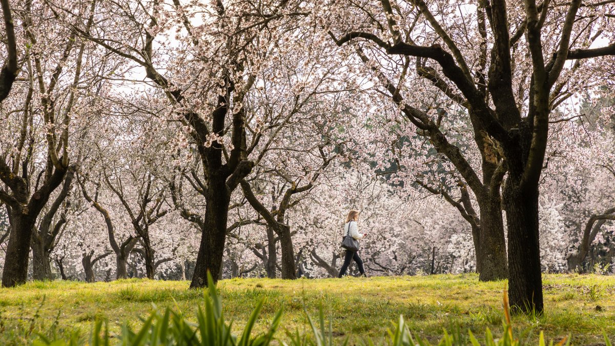 Spain in USA tweet media