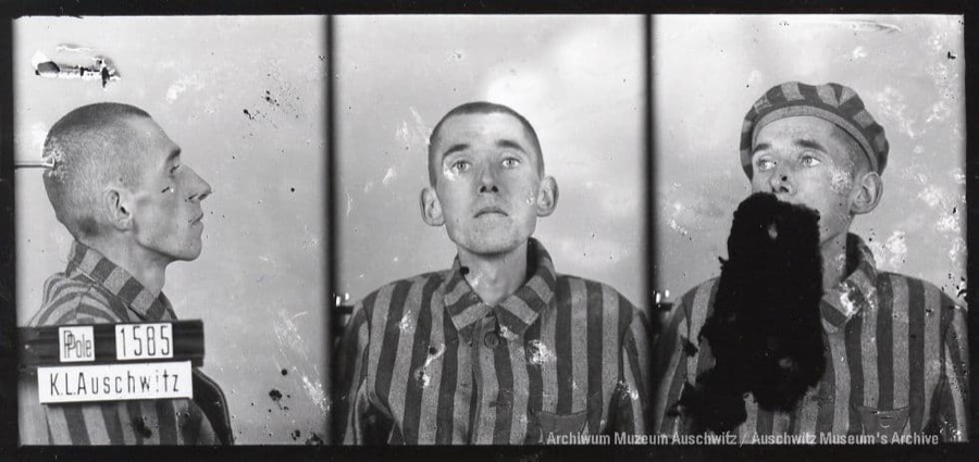 Muzeum Auschwitz tweet media