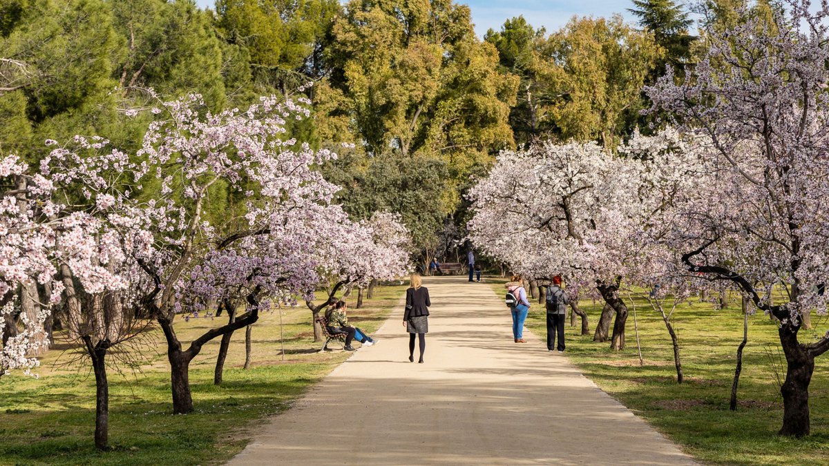 Spain in USA tweet media