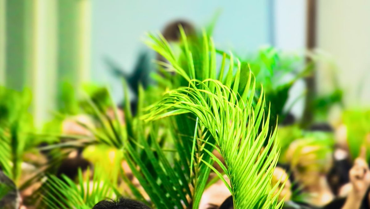 Anglican Compass tweet media