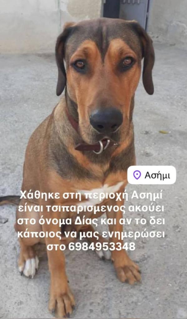 εφη απλα tweet media