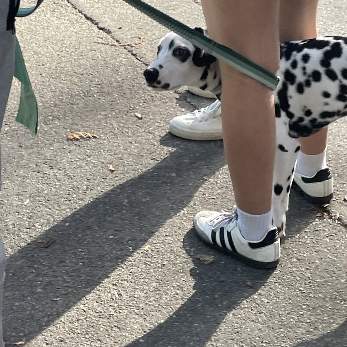 Jewel disc case 2 tweet media