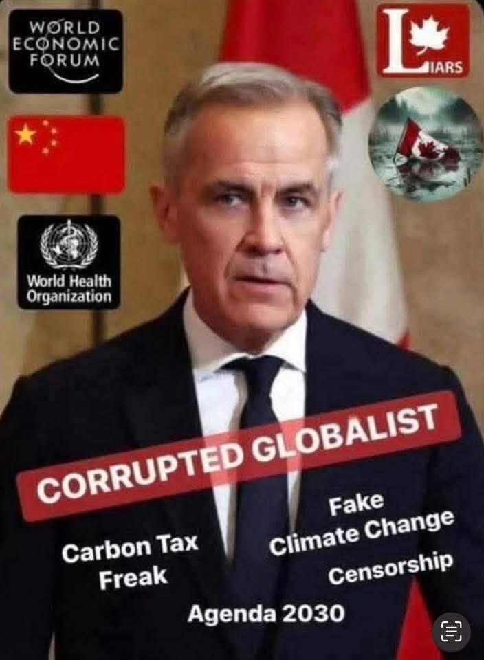 A Cathleen tweet media