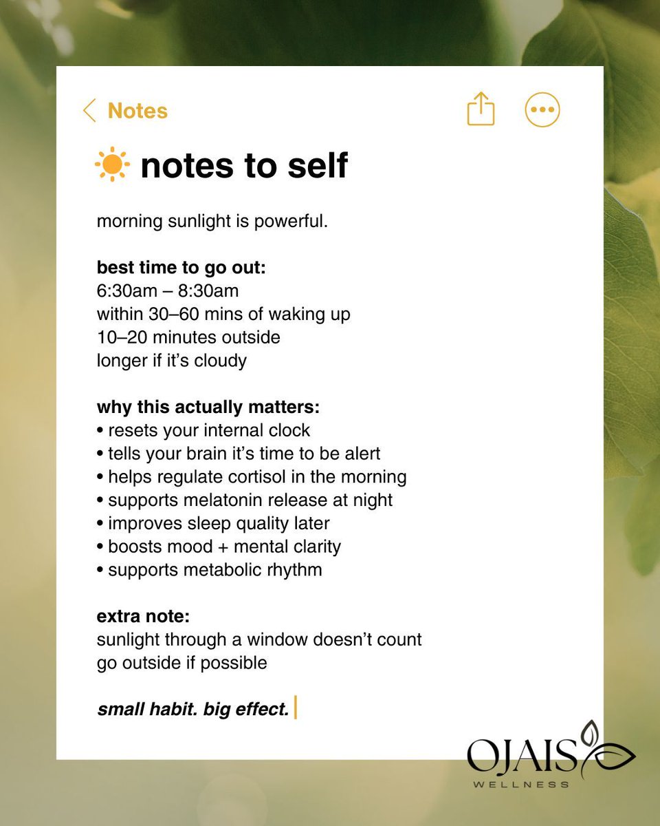 OjaisWellness's tweet image. Daily sunlight is one of the simplest ways to support whole-body regulation.

ojaiswellness.com

#OjaisWellness #MorningSunlight #CircadianRhythm #DailyWellness #HealthyHabits
