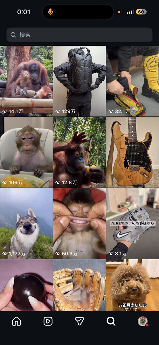 🐟🐊しもつかれ❤️💛💚nextジャスパンファイナル tweet media