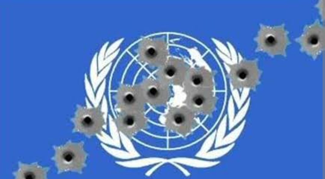 Rod 𝕏 tweet media