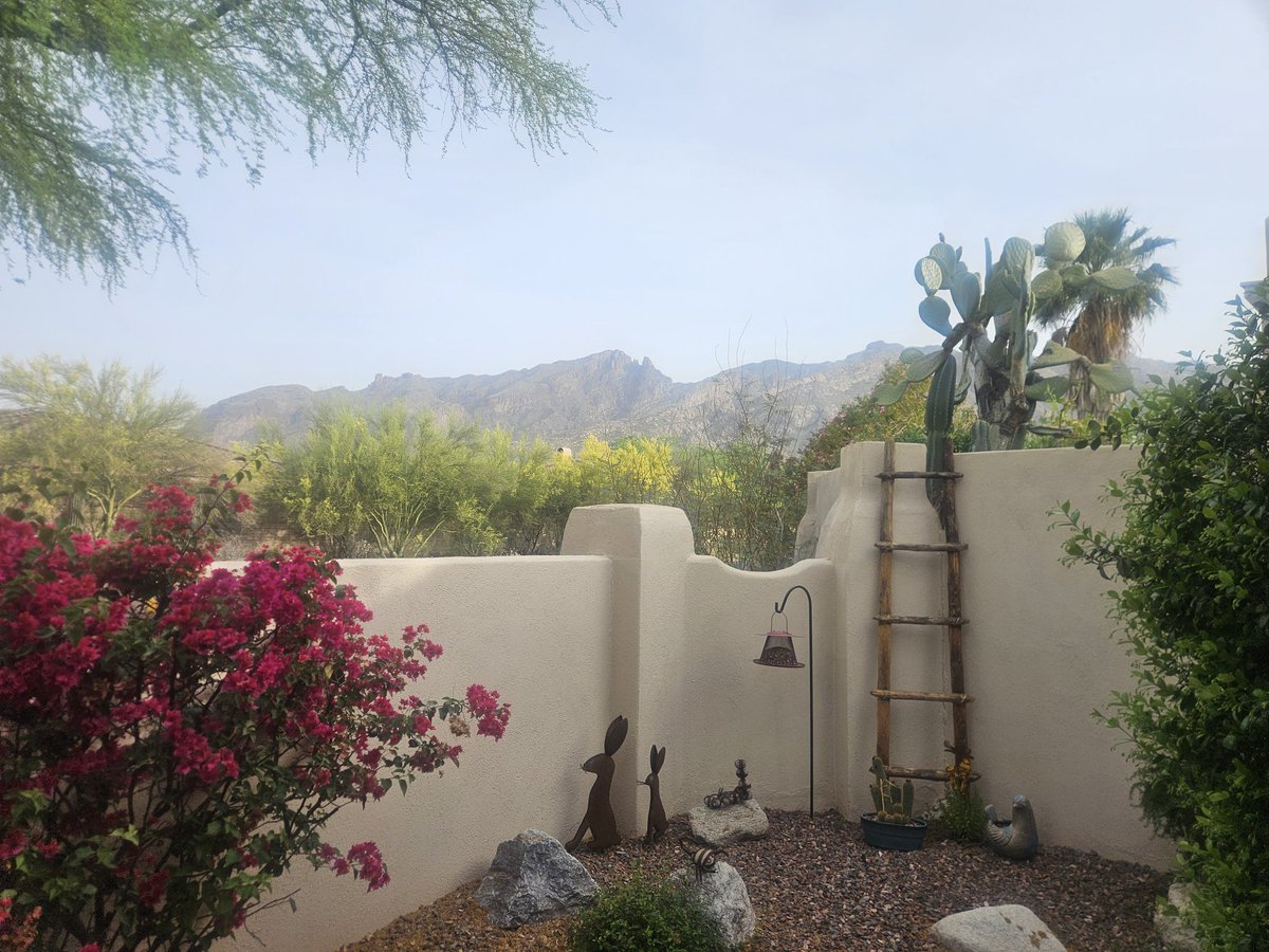 The view from our patio
#tucson