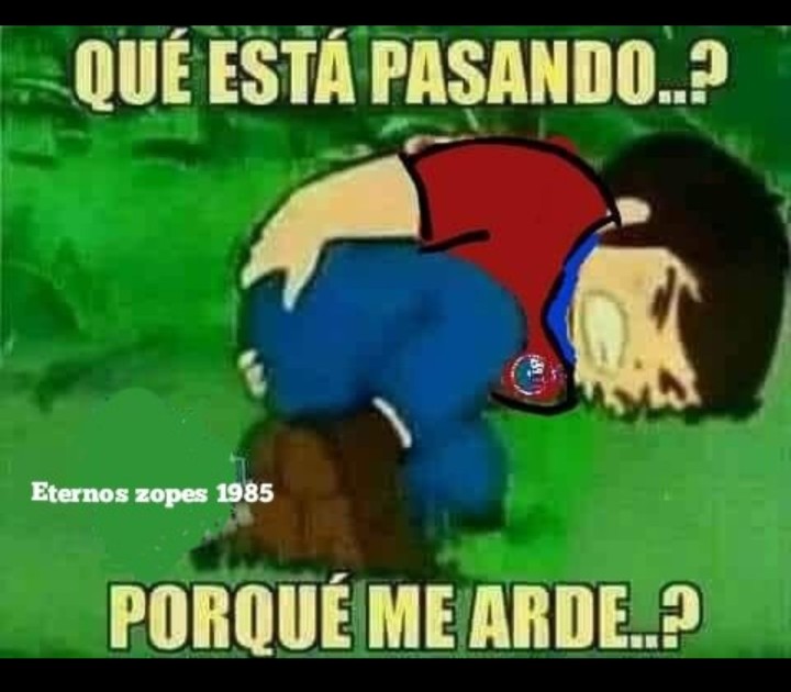 Elena Zamora Ordenes tweet media