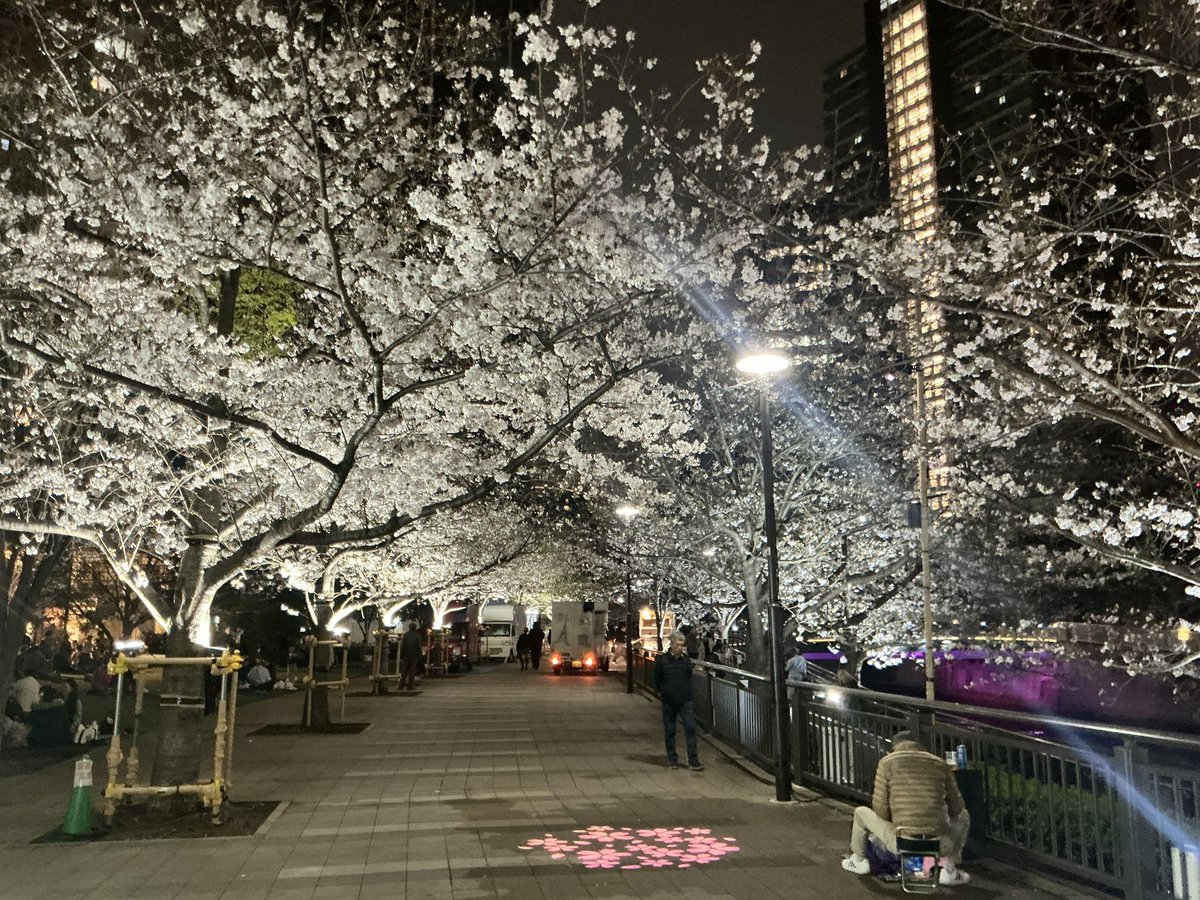 まったり小銭いじり tweet media