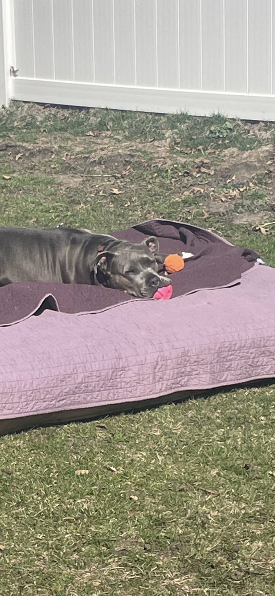 Randy Koeller tweet media