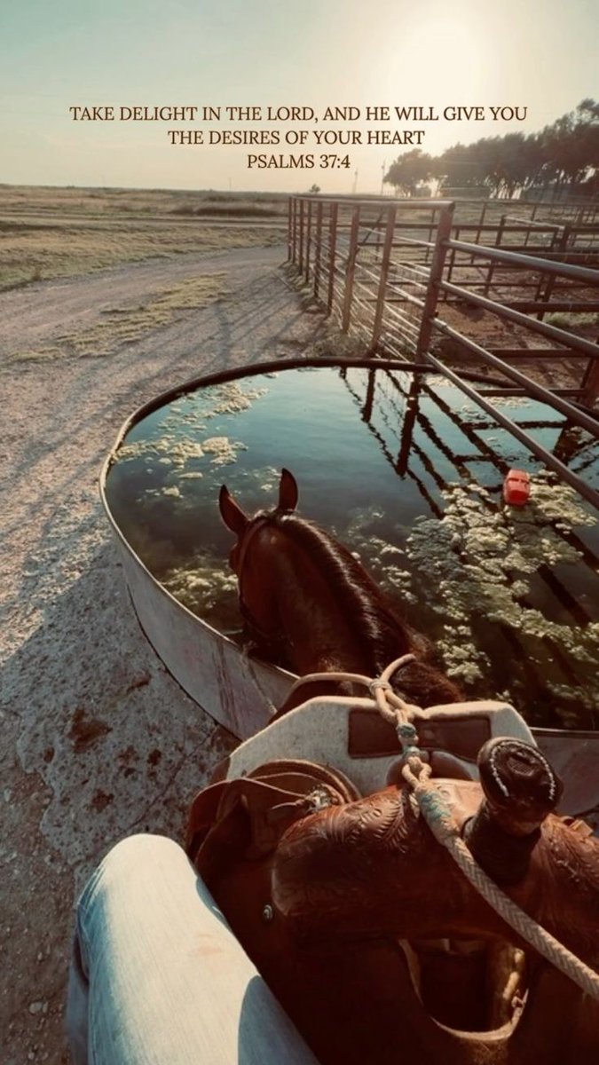 Michael Doyle tweet media