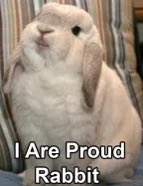 Kate 🥝🦊🐰💖💚 tweet media