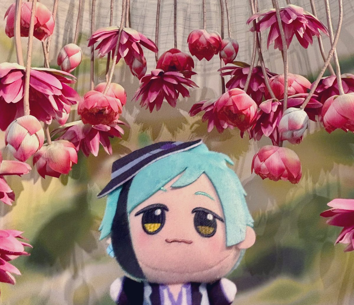 ﾌﾘｰﾀﾞﾑ高橋 tweet media