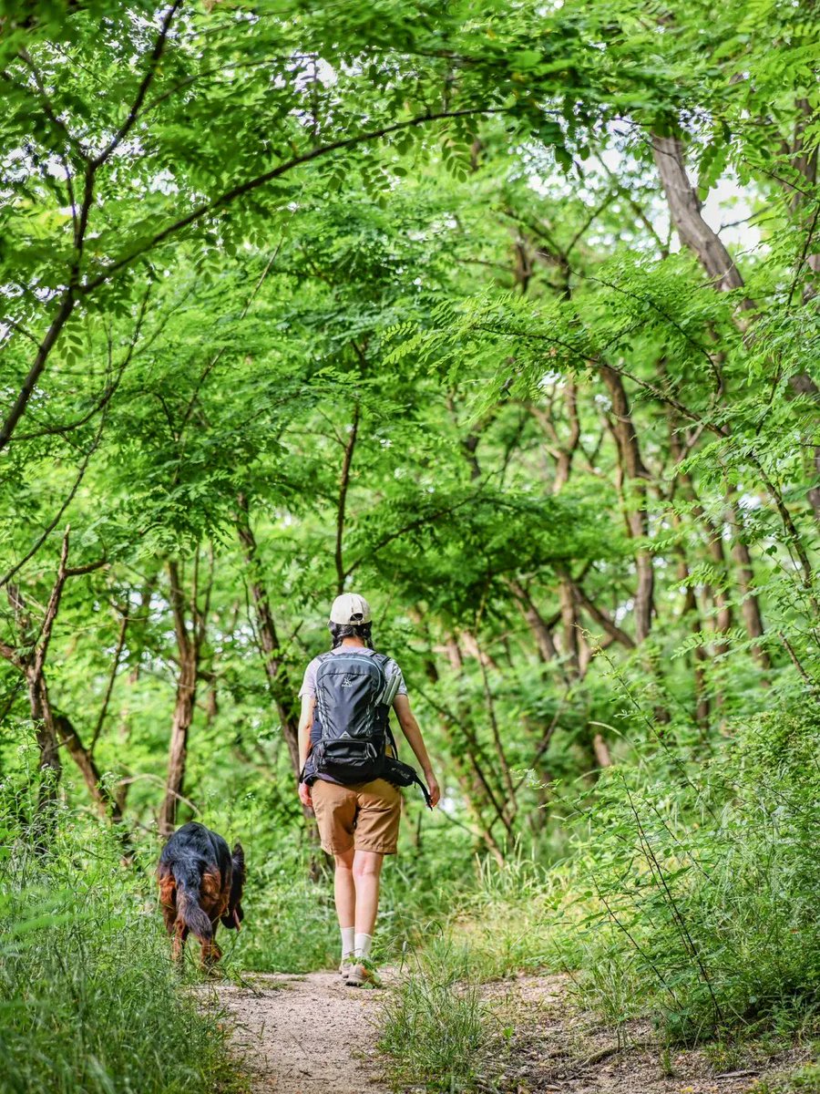 Amy Dang tweet media