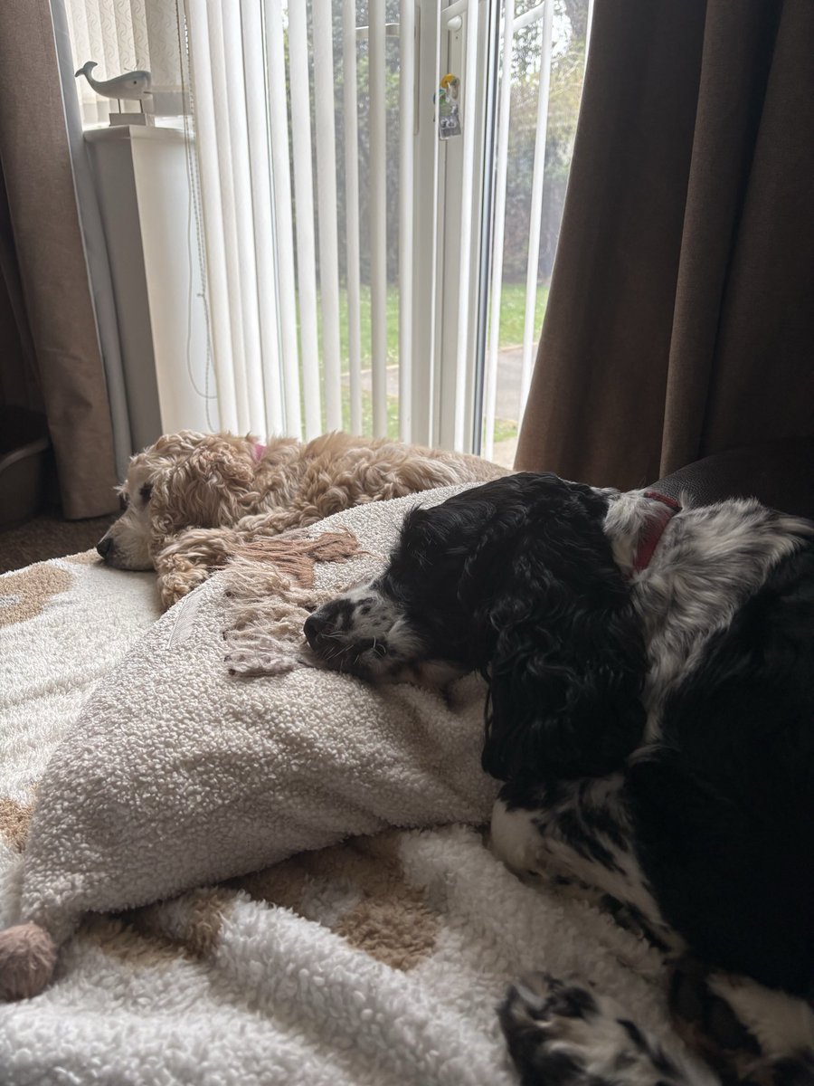 Marnie🌈 Lily & Andy Robertson tweet media