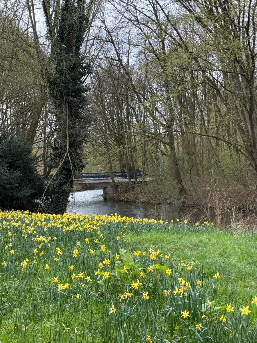 Dr. Khalid tweet media